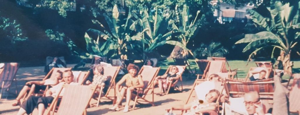 Liegestühle vor palmen