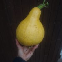 Miniaturansicht für das Anzeigenbild