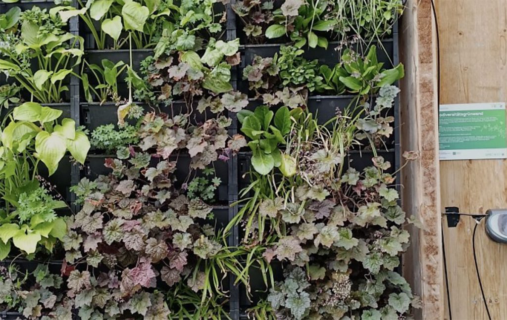 Biodiversität vertikal