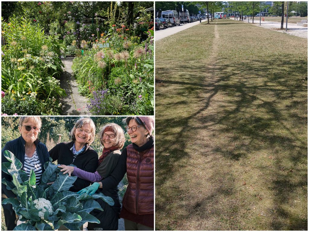 Collage-urbanesGruen-Ernteglueck-freieFläche