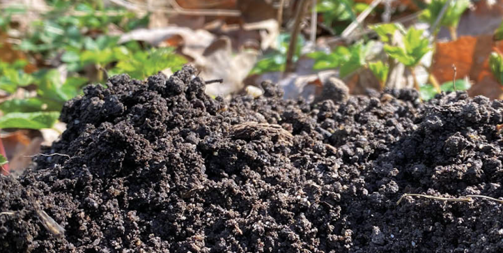 Dunkle Erde, IG-Gesunder Boden