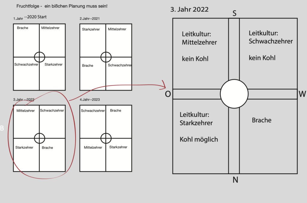 4-Felder-Rotation-Mischkultur