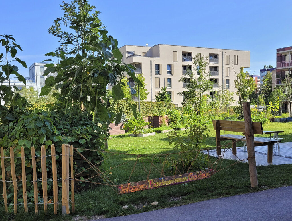 Gemeinschaftsgarten Wogeno Freiham