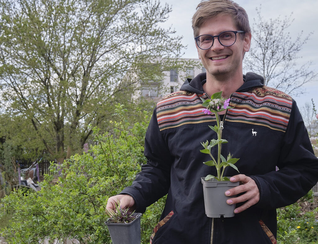 Workshop_Vermehrung_Wildpflanzen